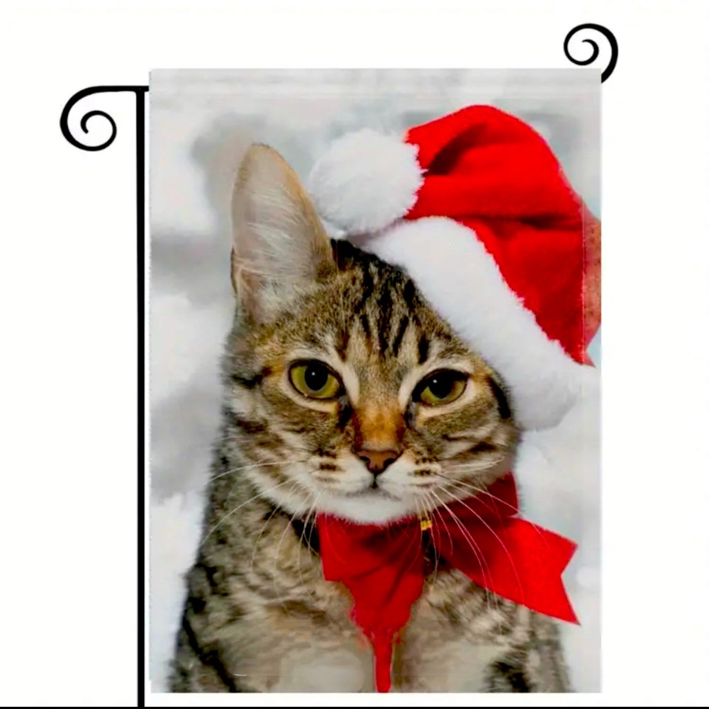 Cat & Snowflake Garden Flag